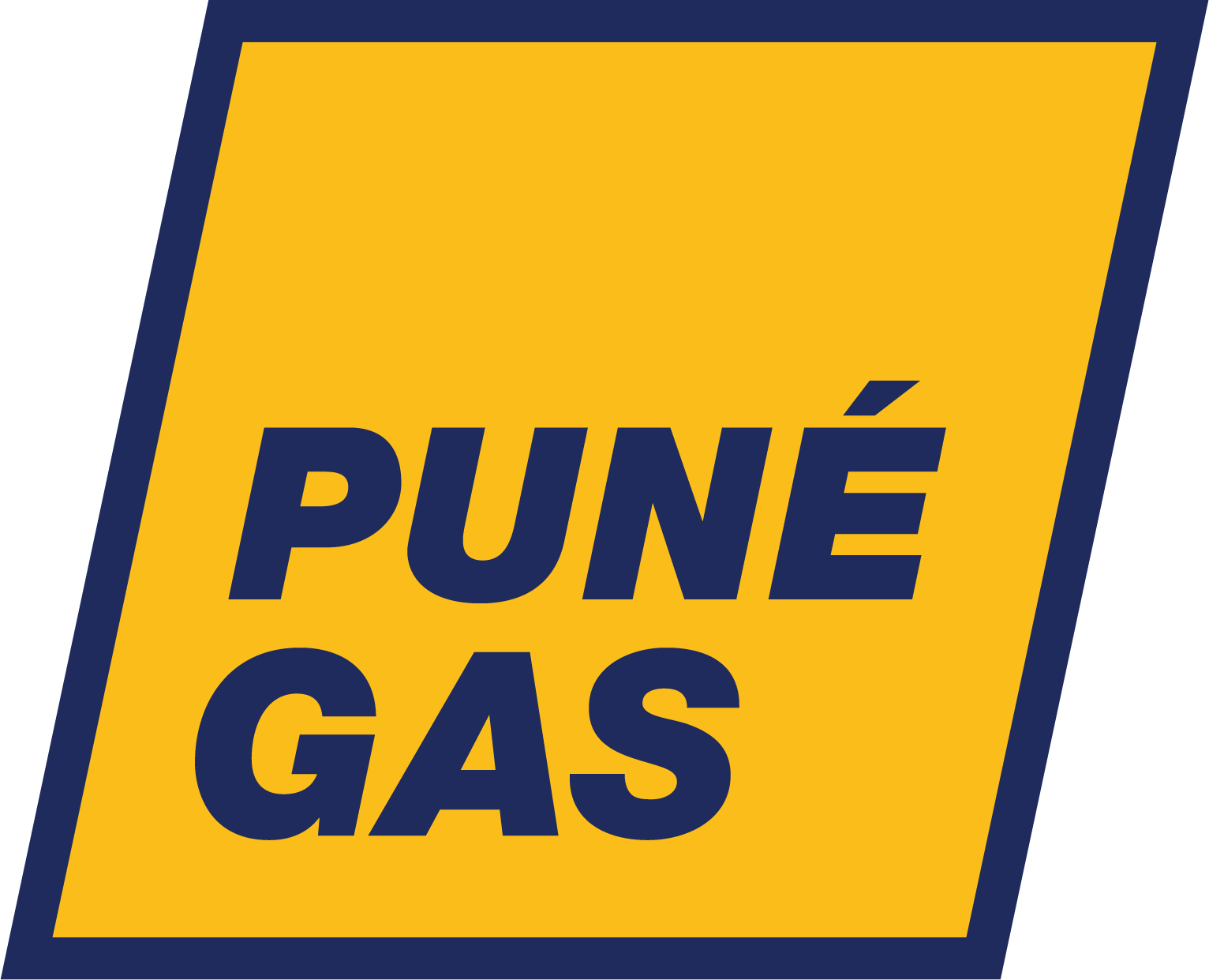 PUNE GAS SYSTEMS PRIVATE LIMITED